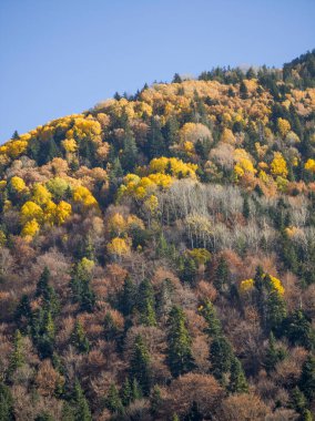 harika sonbahar manzarası, rila dağı, bulgaria