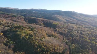 Bulgaristan 'ın Vitosha Dağı' nın İnanılmaz Sonbaharı