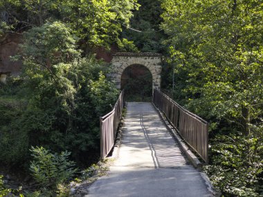 Sırbistan 'ın St. John İlahiyatçısı Ortaçağ Poganovo Manastırı' nın şaşırtıcı manzarası