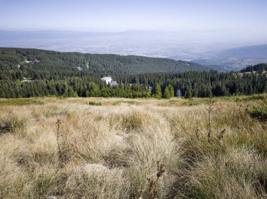 Bulgaristan 'ın Vitosha Dağı' nın şaşırtıcı sonbahar manzarası