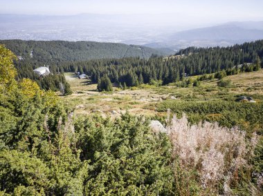 Bulgaristan 'ın Vitosha Dağı' nın şaşırtıcı sonbahar manzarası
