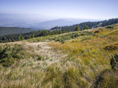 Bulgaristan 'ın Vitosha Dağı' nın şaşırtıcı sonbahar manzarası