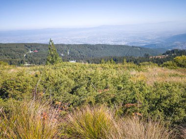 Bulgaristan 'ın Vitosha Dağı' nın şaşırtıcı sonbahar manzarası