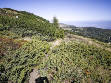 Bulgaristan 'ın Vitosha Dağı' nın şaşırtıcı sonbahar manzarası