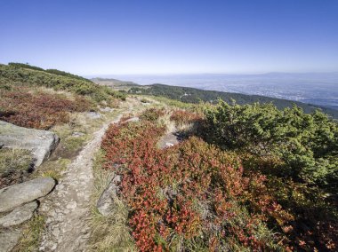 Bulgaristan 'ın Vitosha Dağı' nın şaşırtıcı sonbahar manzarası