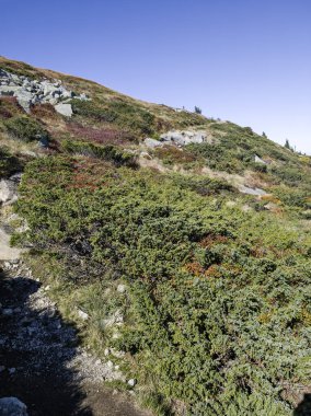 Bulgaristan 'ın Vitosha Dağı' nın şaşırtıcı sonbahar manzarası