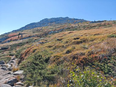 Bulgaristan 'ın Vitosha Dağı' nın şaşırtıcı sonbahar manzarası
