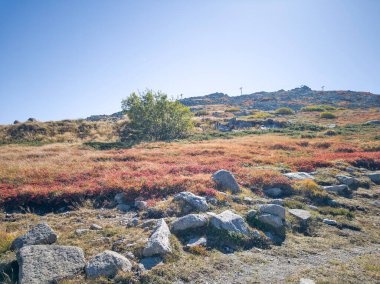 Bulgaristan 'ın Vitosha Dağı' nın şaşırtıcı sonbahar manzarası