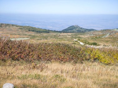 Bulgaristan 'ın Vitosha Dağı' nın şaşırtıcı sonbahar manzarası