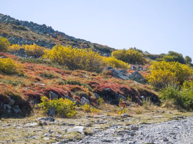 Bulgaristan 'ın Vitosha Dağı' nın şaşırtıcı sonbahar manzarası