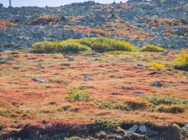 Bulgaristan 'ın Vitosha Dağı' nın şaşırtıcı sonbahar manzarası