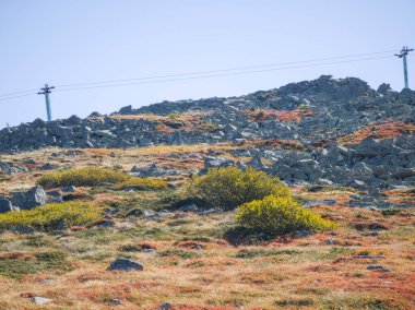 Bulgaristan 'ın Vitosha Dağı' nın şaşırtıcı sonbahar manzarası