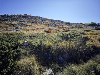 Bulgaristan 'ın Vitosha Dağı' nın şaşırtıcı sonbahar manzarası