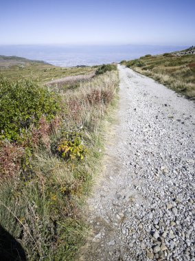 Bulgaristan 'ın Vitosha Dağı' nın şaşırtıcı sonbahar manzarası