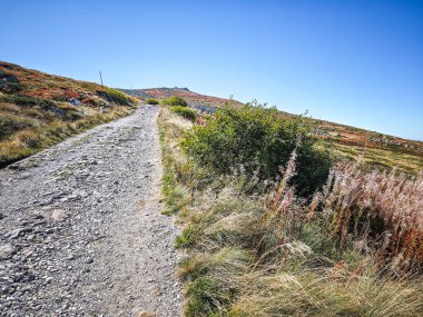 Bulgaristan 'ın Vitosha Dağı' nın şaşırtıcı sonbahar manzarası