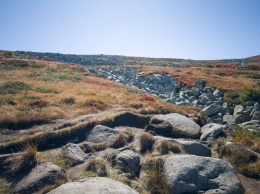 Bulgaristan 'ın Vitosha Dağı' nın şaşırtıcı sonbahar manzarası