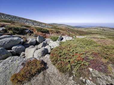 Bulgaristan 'ın Vitosha Dağı' nın şaşırtıcı sonbahar manzarası