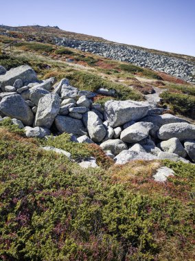 Bulgaristan 'ın Vitosha Dağı' nın şaşırtıcı sonbahar manzarası