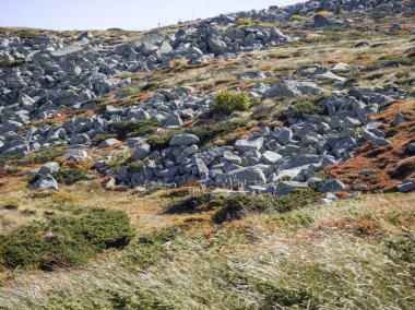 Bulgaristan 'ın Vitosha Dağı' nın şaşırtıcı sonbahar manzarası