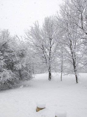 Bulgaristan 'ın Sofya kentindeki South Park' ın şaşırtıcı kış manzarası