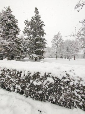 Bulgaristan 'ın Sofya kentindeki South Park' ın şaşırtıcı kış manzarası