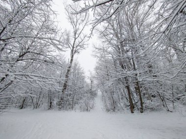 Bulgaristan 'ın Sofya kentindeki South Park' ın şaşırtıcı kış manzarası