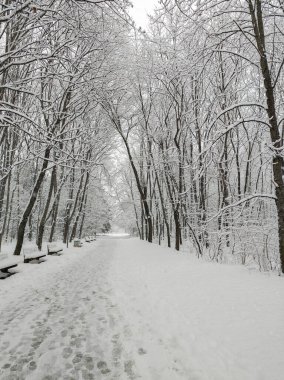 Bulgaristan 'ın Sofya kentindeki South Park' ın şaşırtıcı kış manzarası