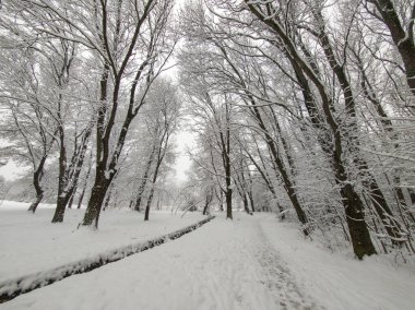 Bulgaristan 'ın Sofya kentindeki South Park' ın şaşırtıcı kış manzarası