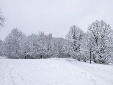 Bulgaristan 'ın Sofya kentindeki South Park' ın şaşırtıcı kış manzarası