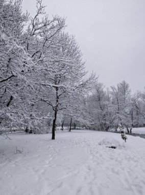 Bulgaristan 'ın Sofya kentindeki South Park' ın şaşırtıcı kış manzarası