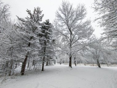 Bulgaristan 'ın Sofya kentindeki South Park' ın şaşırtıcı kış manzarası