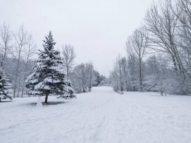 Bulgaristan 'ın Sofya kentindeki South Park' ın şaşırtıcı kış manzarası