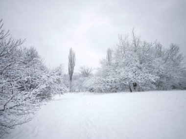 Bulgaristan 'ın Sofya kentindeki South Park' ın şaşırtıcı kış manzarası