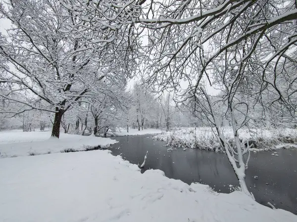 Bulgaristan 'ın Sofya kentindeki South Park' ın şaşırtıcı kış manzarası