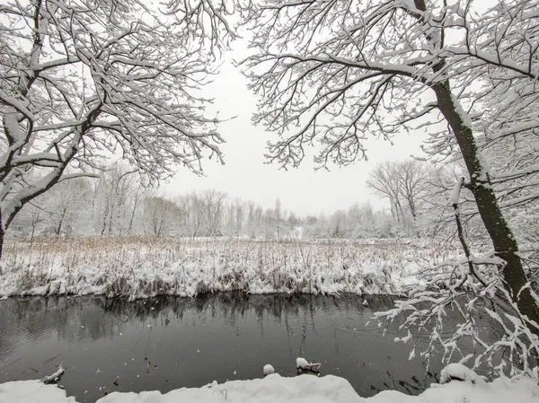 Bulgaristan 'ın Sofya kentindeki South Park' ın şaşırtıcı kış manzarası