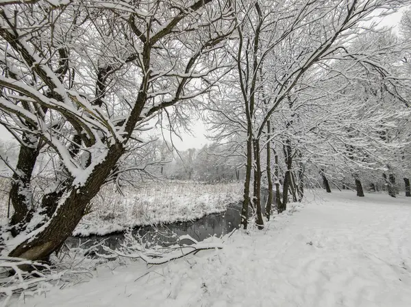 Bulgaristan 'ın Sofya kentindeki South Park' ın şaşırtıcı kış manzarası