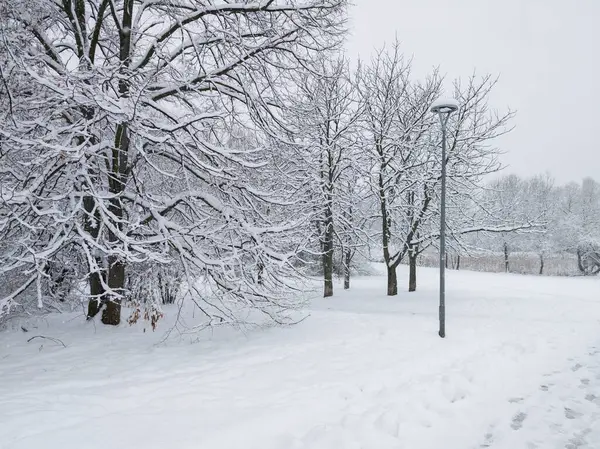 Bulgaristan 'ın Sofya kentindeki South Park' ın şaşırtıcı kış manzarası