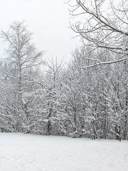 Bulgaristan 'ın Sofya kentindeki South Park' ın şaşırtıcı kış manzarası