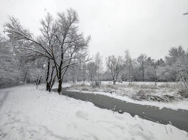Bulgaristan 'ın Sofya kentindeki South Park' ın şaşırtıcı kış manzarası