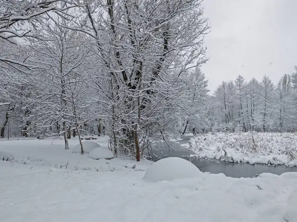 Bulgaristan 'ın Sofya kentindeki South Park' ın şaşırtıcı kış manzarası