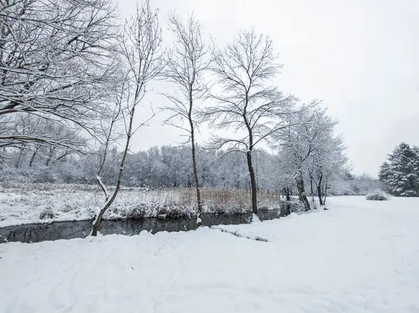 Bulgaristan 'ın Sofya kentindeki South Park' ın şaşırtıcı kış manzarası