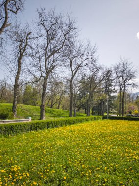 Bulgaristan 'ın Sofya kentindeki South Park' ın İnanılmaz Bahar Manzarası