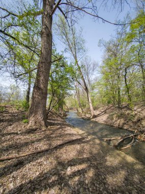 Bulgaristan 'ın Sofya kentindeki South Park' ın İnanılmaz Bahar Manzarası