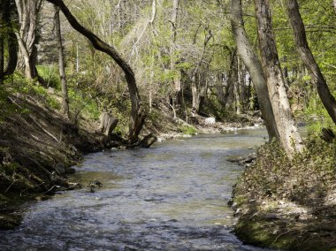 Bulgaristan 'ın Sofya kentindeki South Park' ın İnanılmaz Bahar Manzarası