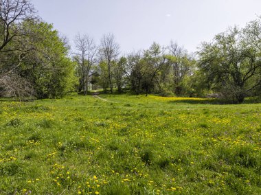 Bulgaristan 'ın Sofya kentindeki South Park' ın İnanılmaz Bahar Manzarası