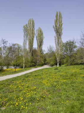 Bulgaristan 'ın Sofya kentindeki South Park' ın İnanılmaz Bahar Manzarası