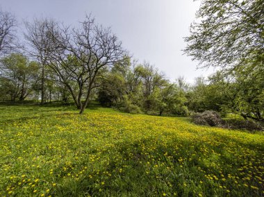 Bulgaristan 'ın Sofya kentindeki South Park' ın İnanılmaz Bahar Manzarası