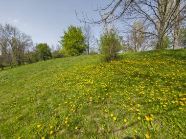 Bulgaristan 'ın Sofya kentindeki South Park' ın İnanılmaz Bahar Manzarası