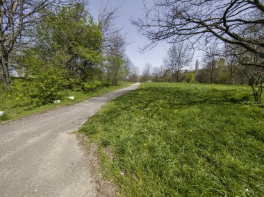 Bulgaristan 'ın Sofya kentindeki South Park' ın İnanılmaz Bahar Manzarası