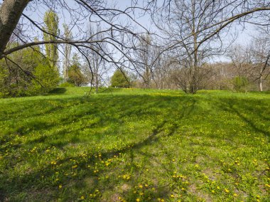 Bulgaristan 'ın Sofya kentindeki South Park' ın İnanılmaz Bahar Manzarası